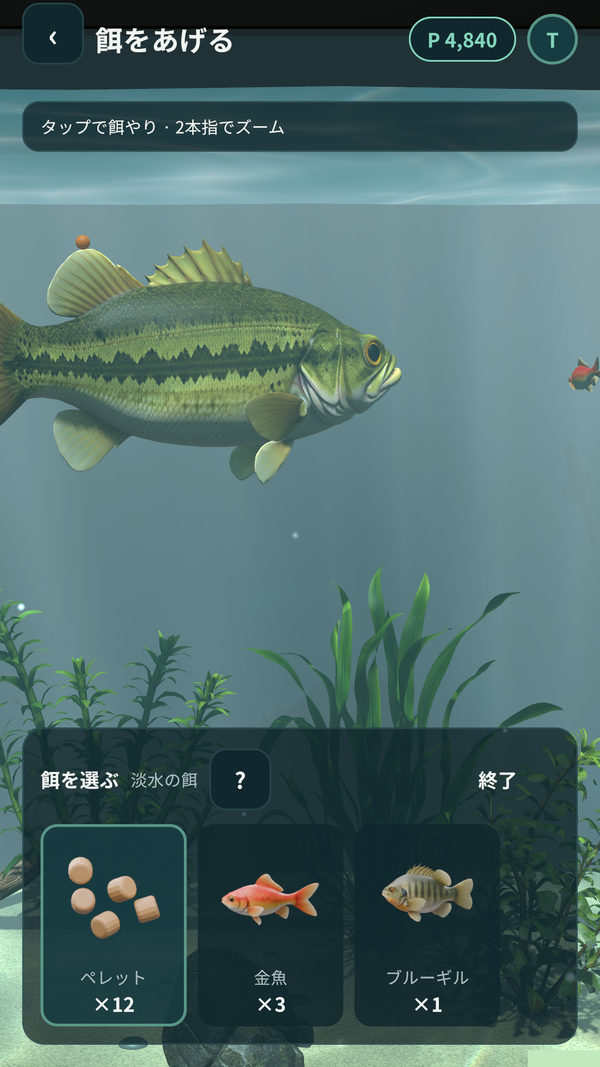 エサやりの画面。ペレット、金魚、ブルーギル