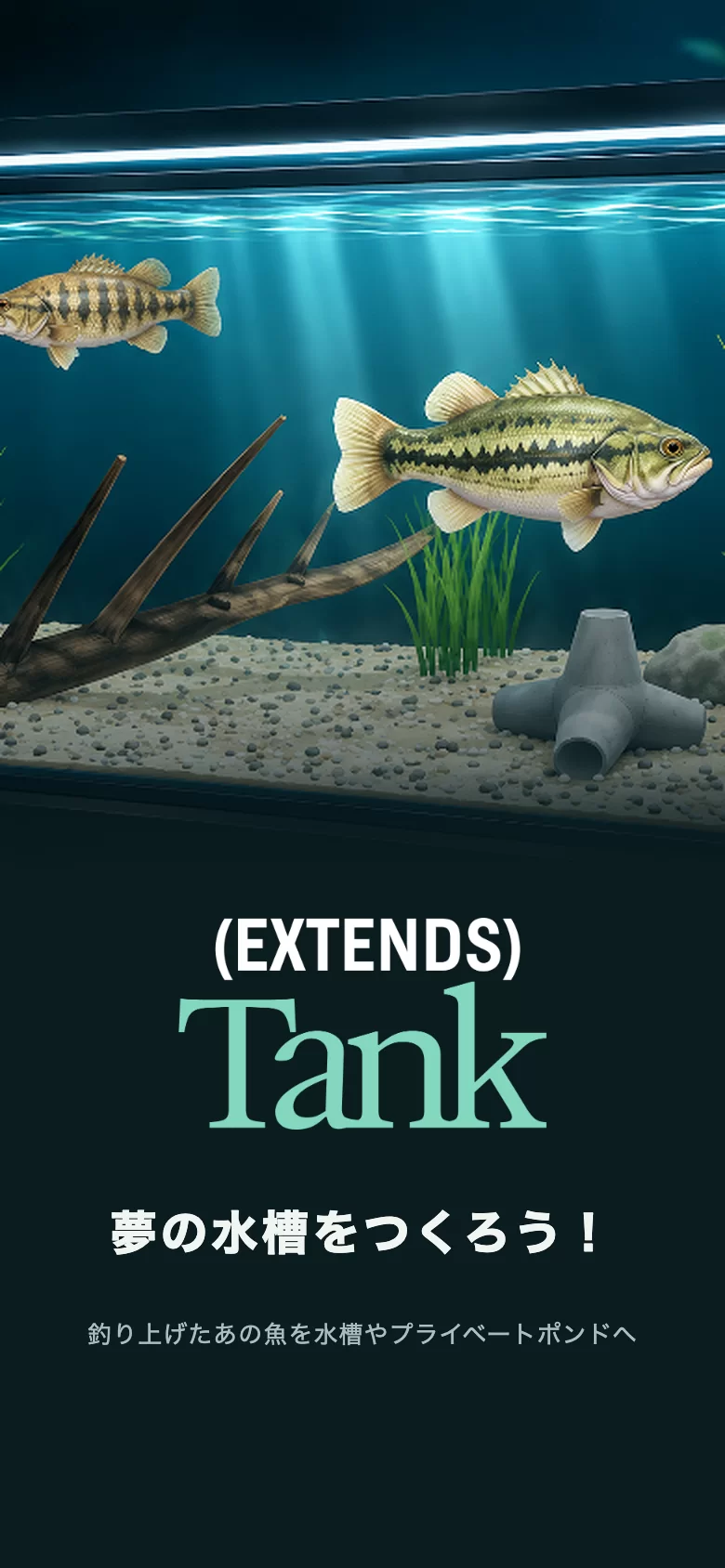 (EXTENDS) Tank の起動画面。水槽の中をバスが泳ぎ、「夢の水槽をつくろう!」と表示されている